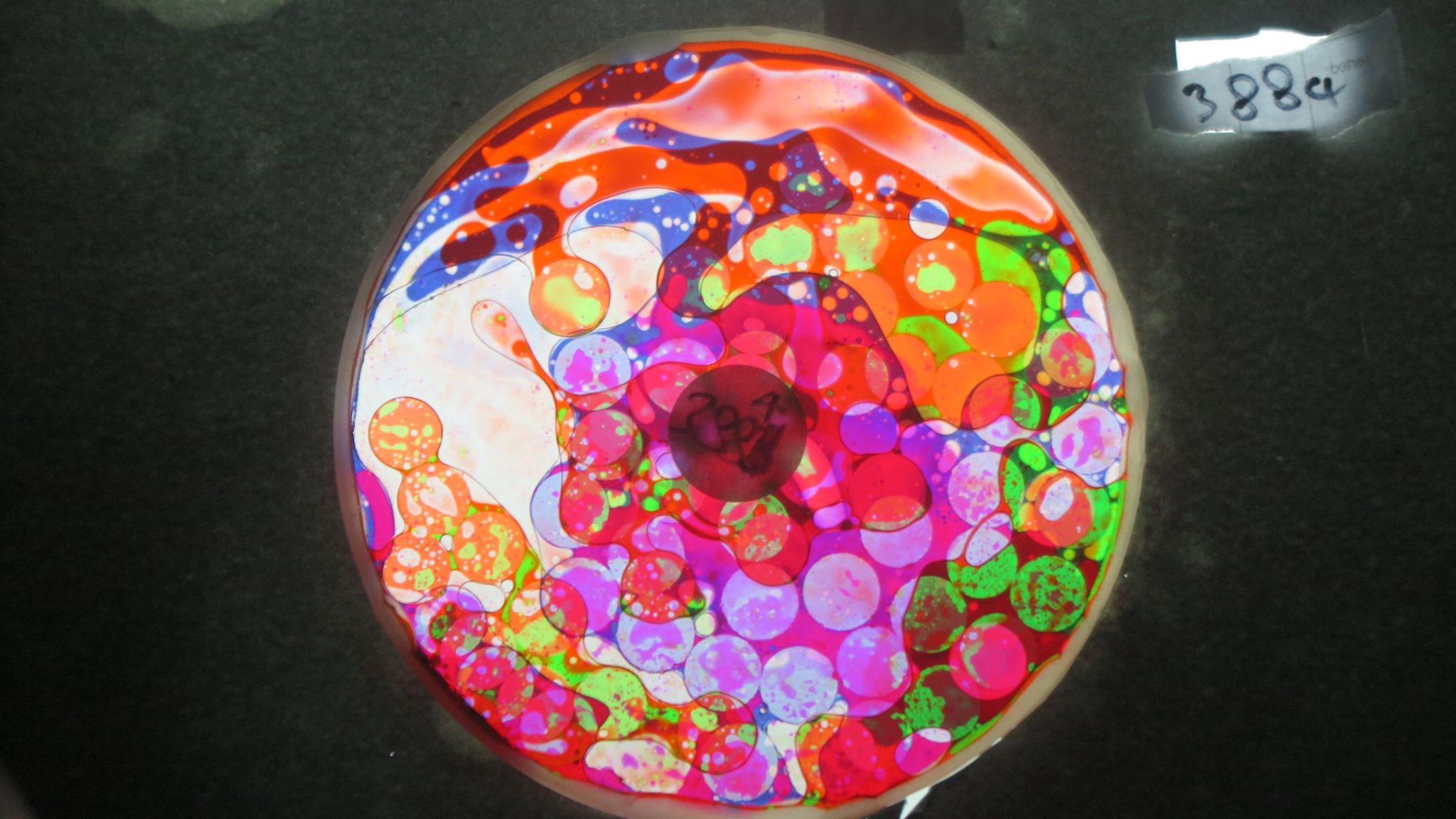 BV3884 bubble vision oil wheel